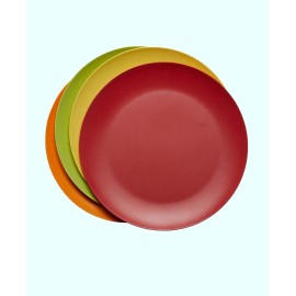 Bamboo Dinner Plates  Set of 4