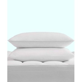 Down Alternative Pillow 2-Pack Collection